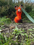 Krafttier Elfe Fuchs